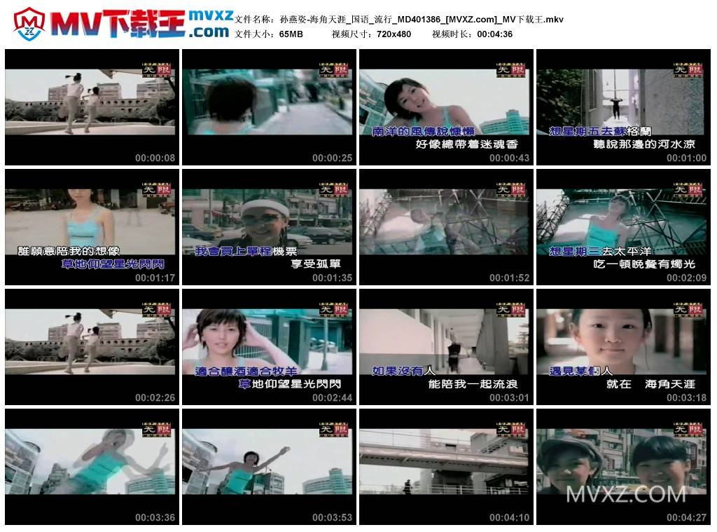 孙燕姿-海角天涯_国语_流行_MD401386